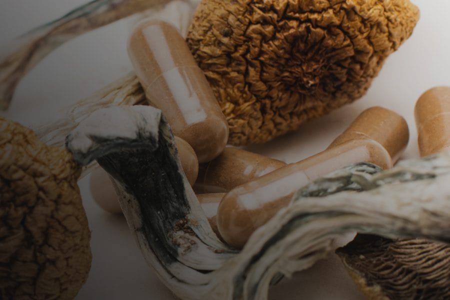 Origin Mushrooms Official Site Site - originslider